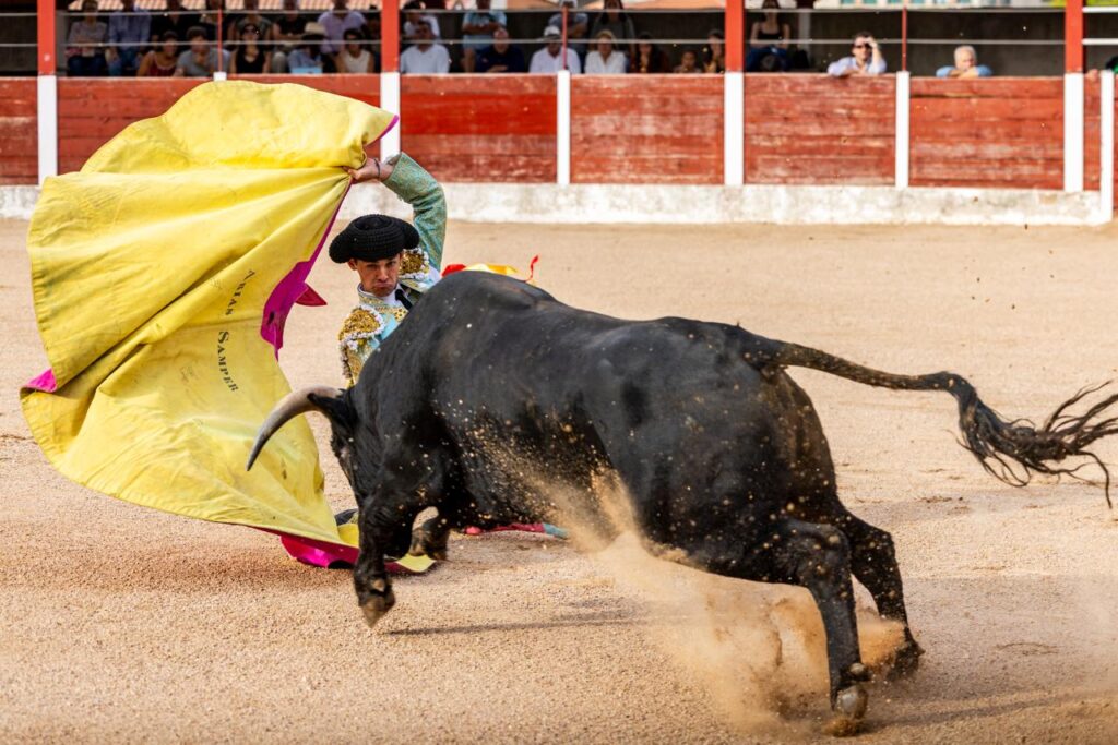 Luis Izaguirre triunfador del certamen "Guadalajara busca un torero" La final del XI certamen "Guadalajara busca un torero" se celebró el domingo 27 de septiembre de 2026, a las 18:00 h, en la plaza de toros de Horche (Guadalajara), donde se lidiaron seis novillos, tres del hierro de Juan Barriopedro y tres de Guerrero y Carpintero para los novilleros finalistas Arias Samper, Julio Martín y Luis Izaguirre