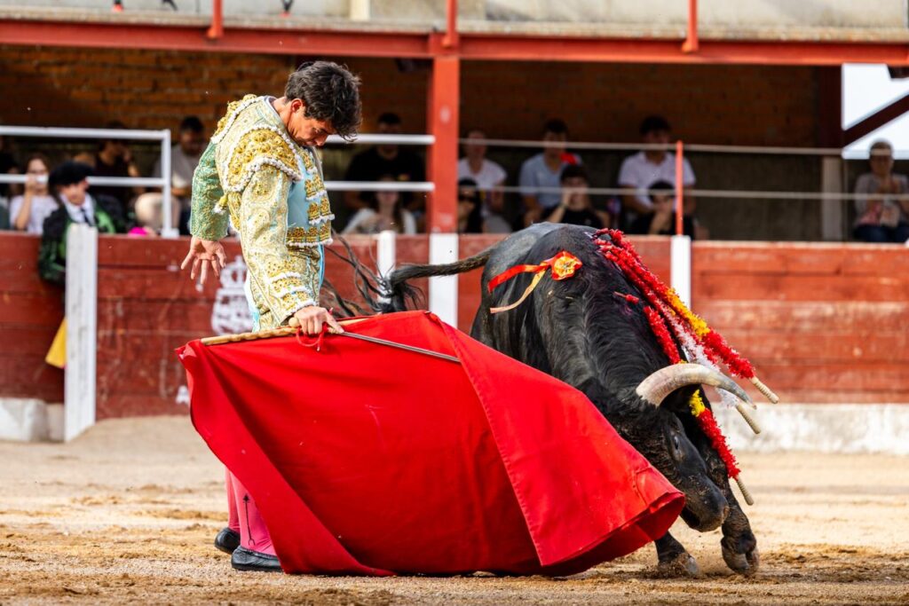 Luis Izaguirre triunfador del certamen "Guadalajara busca un torero" La final del XI certamen "Guadalajara busca un torero" se celebró el domingo 27 de septiembre de 2026, a las 18:00 h, en la plaza de toros de Horche (Guadalajara), donde se lidiaron seis novillos, tres del hierro de Juan Barriopedro y tres de Guerrero y Carpintero para los novilleros finalistas Arias Samper, Julio Martín y Luis Izaguirre