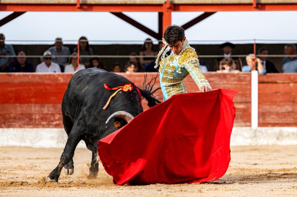 Luis Izaguirre triunfador del certamen "Guadalajara busca un torero" La final del XI certamen "Guadalajara busca un torero" se celebró el domingo 27 de septiembre de 2026, a las 18:00 h, en la plaza de toros de Horche (Guadalajara), donde se lidiaron seis novillos, tres del hierro de Juan Barriopedro y tres de Guerrero y Carpintero para los novilleros finalistas Arias Samper, Julio Martín y Luis Izaguirre