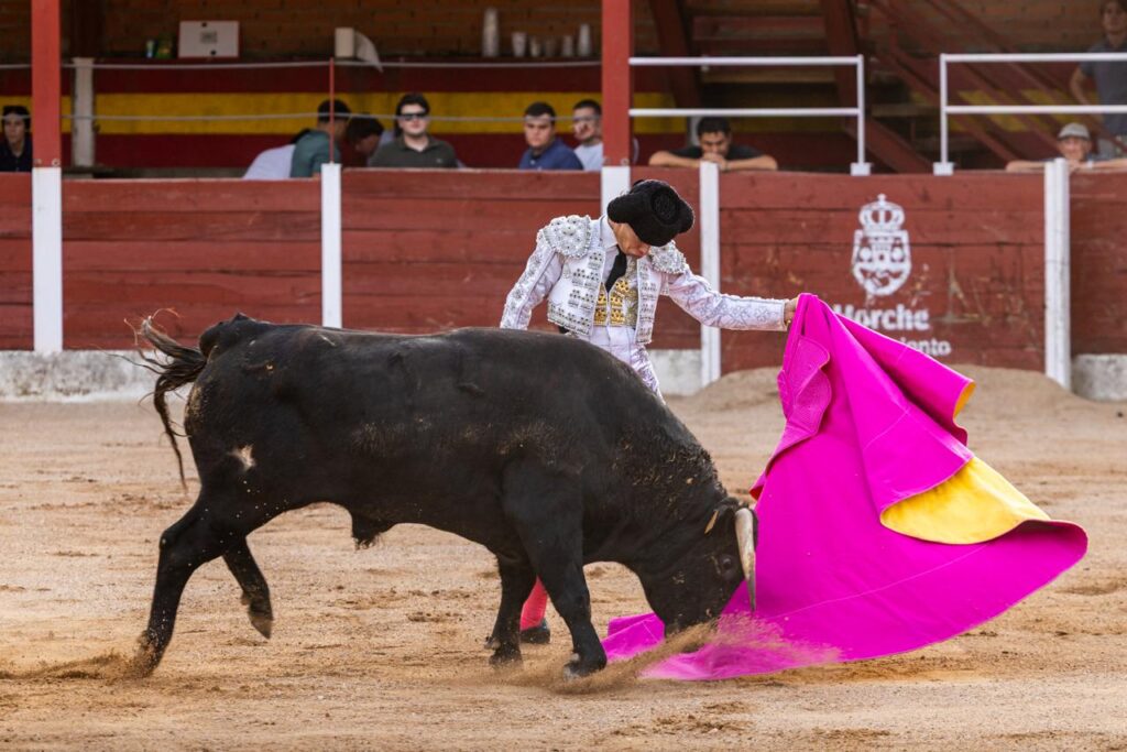 Luis Izaguirre triunfador del certamen "Guadalajara busca un torero" La final del XI certamen "Guadalajara busca un torero" se celebró el domingo 27 de septiembre de 2026, a las 18:00 h, en la plaza de toros de Horche (Guadalajara), donde se lidiaron seis novillos, tres del hierro de Juan Barriopedro y tres de Guerrero y Carpintero para los novilleros finalistas Arias Samper, Julio Martín y Luis Izaguirre