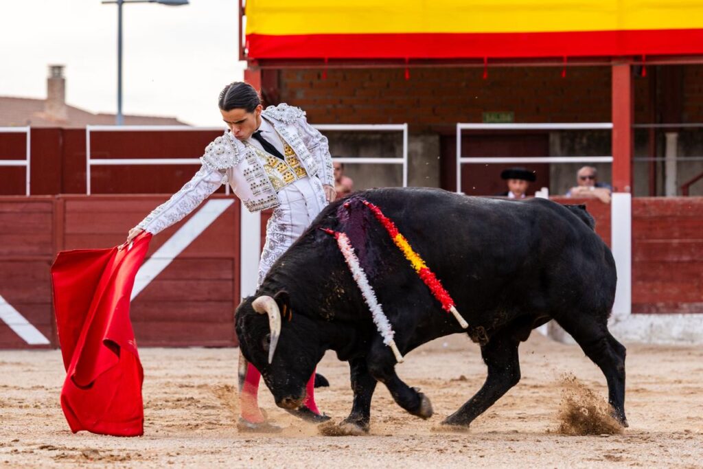 Luis Izaguirre triunfador del certamen "Guadalajara busca un torero" La final del XI certamen "Guadalajara busca un torero" se celebró el domingo 27 de septiembre de 2026, a las 18:00 h, en la plaza de toros de Horche (Guadalajara), donde se lidiaron seis novillos, tres del hierro de Juan Barriopedro y tres de Guerrero y Carpintero para los novilleros finalistas Arias Samper, Julio Martín y Luis Izaguirre