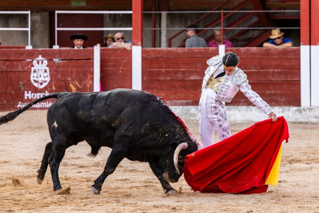 Luis Izaguirre triunfador del certamen "Guadalajara busca un torero" La final del XI certamen "Guadalajara busca un torero" se celebró el domingo 27 de septiembre de 2026, a las 18:00 h, en la plaza de toros de Horche (Guadalajara), donde se lidiaron seis novillos, tres del hierro de Juan Barriopedro y tres de Guerrero y Carpintero para los novilleros finalistas Arias Samper, Julio Martín y Luis Izaguirre