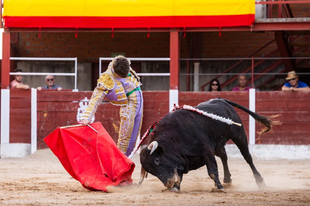 Luis Izaguirre triunfador del certamen "Guadalajara busca un torero" La final del XI certamen "Guadalajara busca un torero" se celebró el domingo 27 de septiembre de 2026, a las 18:00 h, en la plaza de toros de Horche (Guadalajara), donde se lidiaron seis novillos, tres del hierro de Juan Barriopedro y tres de Guerrero y Carpintero para los novilleros finalistas Arias Samper, Julio Martín y Luis Izaguirre