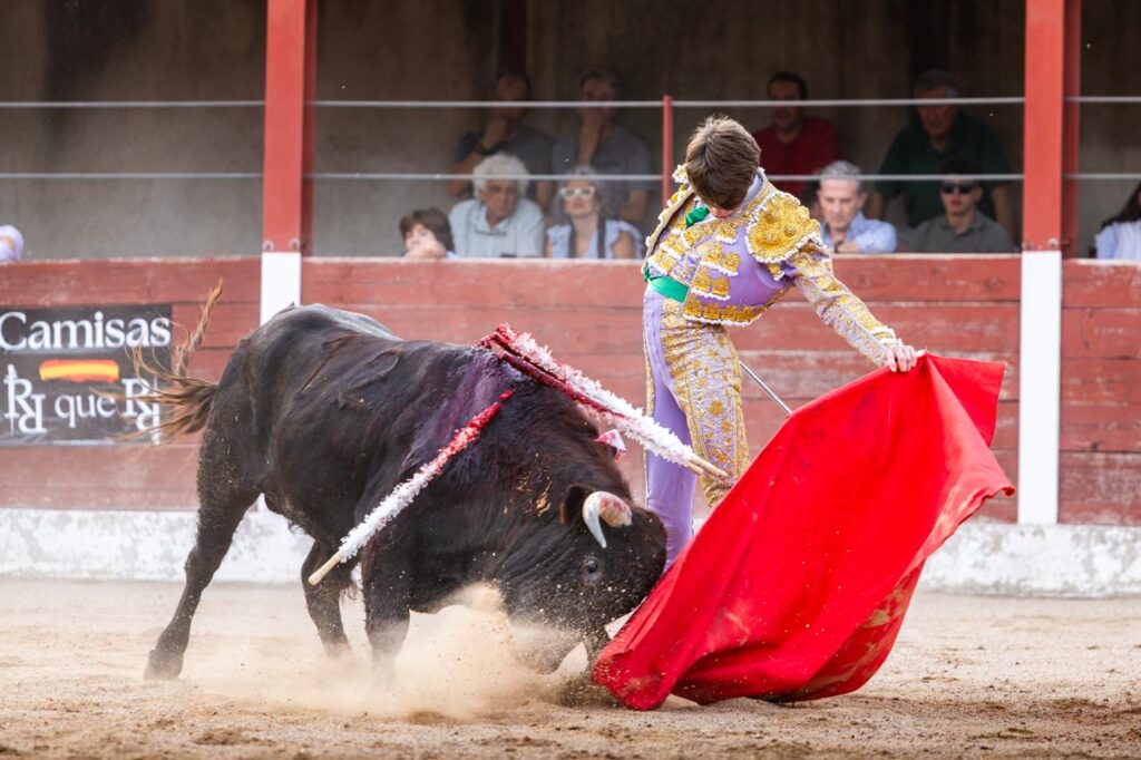 Luis Izaguirre triunfador del certamen "Guadalajara busca un torero" La final del XI certamen "Guadalajara busca un torero" se celebró el domingo 27 de septiembre de 2026, a las 18:00 h, en la plaza de toros de Horche (Guadalajara), donde se lidiaron seis novillos, tres del hierro de Juan Barriopedro y tres de Guerrero y Carpintero para los novilleros finalistas Arias Samper, Julio Martín y Luis Izaguirre