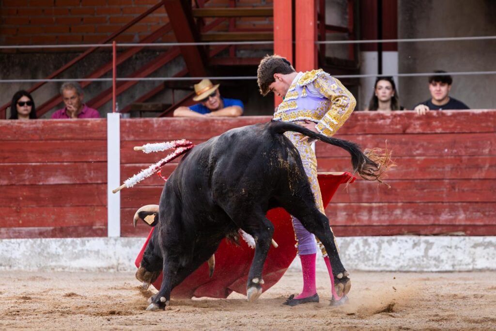 Luis Izaguirre triunfador del certamen "Guadalajara busca un torero" La final del XI certamen "Guadalajara busca un torero" se celebró el domingo 27 de septiembre de 2026, a las 18:00 h, en la plaza de toros de Horche (Guadalajara), donde se lidiaron seis novillos, tres del hierro de Juan Barriopedro y tres de Guerrero y Carpintero para los novilleros finalistas Arias Samper, Julio Martín y Luis Izaguirre