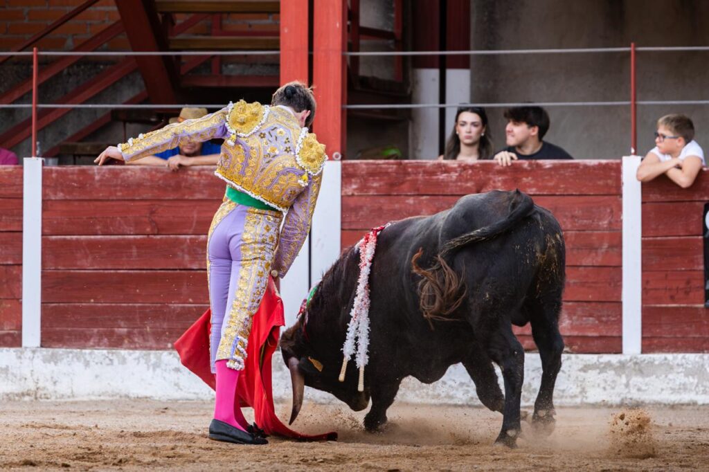 Luis Izaguirre triunfador del certamen "Guadalajara busca un torero" La final del XI certamen "Guadalajara busca un torero" se celebró el domingo 27 de septiembre de 2026, a las 18:00 h, en la plaza de toros de Horche (Guadalajara), donde se lidiaron seis novillos, tres del hierro de Juan Barriopedro y tres de Guerrero y Carpintero para los novilleros finalistas Arias Samper, Julio Martín y Luis Izaguirre