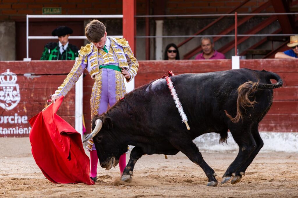 Luis Izaguirre triunfador del certamen "Guadalajara busca un torero" La final del XI certamen "Guadalajara busca un torero" se celebró el domingo 27 de septiembre de 2026, a las 18:00 h, en la plaza de toros de Horche (Guadalajara), donde se lidiaron seis novillos, tres del hierro de Juan Barriopedro y tres de Guerrero y Carpintero para los novilleros finalistas Arias Samper, Julio Martín y Luis Izaguirre