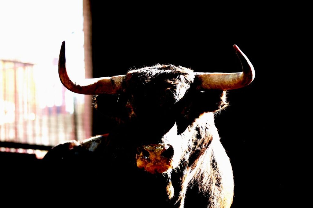 "Dueño" de Montalvo abrirá la tarde en Zaragoza para Emilio de Justo FOTOS: Zaragoza Toros