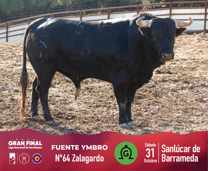 Los novillos de Fuente Ymbro para la Gran Final de Novilladas