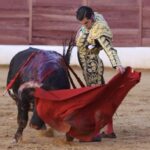 David de Miranda emborracha de torería a Zafra y sale a hombros tras indultar a Postinero Segunda de abono de la Feria Taurina de Zafra. Corrida de toros de Manuel Calejo Pires para Morante de la Puebla, Ginés Marín y David de Miranda.