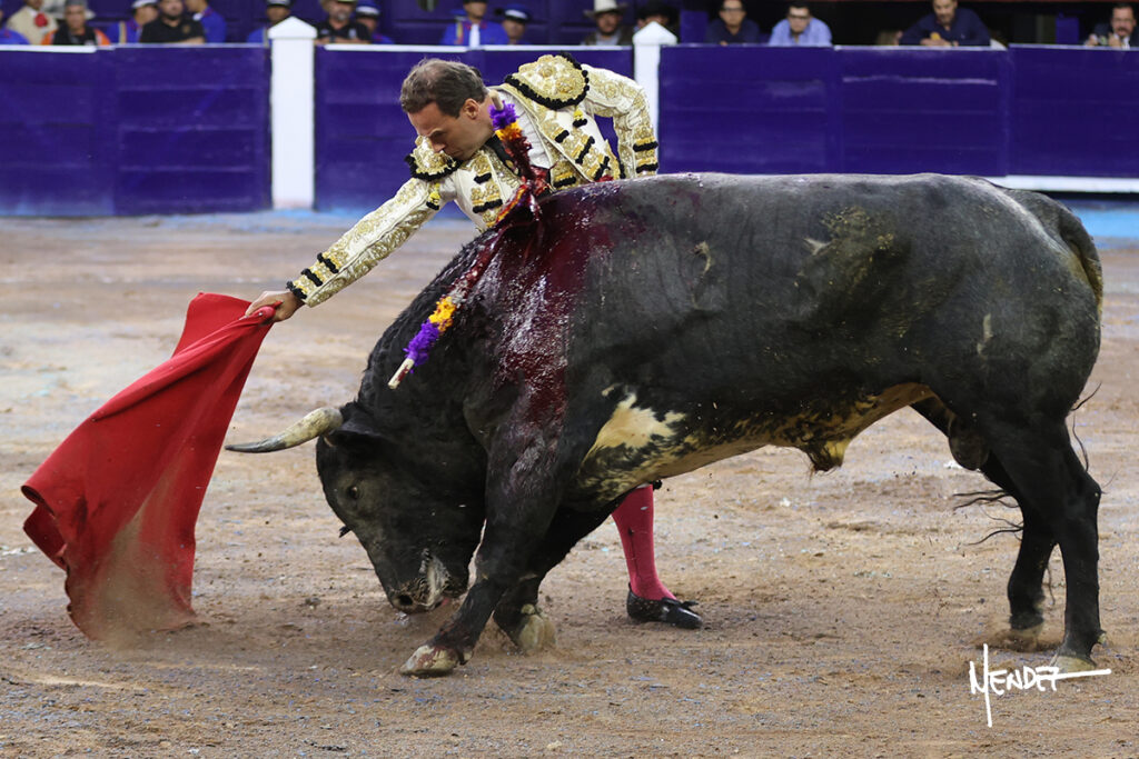 Faenas de Ferrera que da una vuelta, y de Valadez y Gamero sin colofón en la corrida del Municipio de Aguascalientes Ante poco más de media entrada en el coso Monumental, en tarde fresca y con algo de viento, se celebró este sábado 24 de octubre la ya tradicional Corrida del Municipio para festejar, ahora, el CDLI aniversario de la fundación de la ciudad de Aguascalientes y, festejo que dio comienzo a la III Temporada de Otoño 2026, resultando sin triunfador debido a la falta de colofón de las faenas hechas por el ibero Antonio Ferrera y el local Leo Valadez. El rejoneador de la capital de país, Emiliano Gamero, de igual manera no obtuvo premio por malograr a la hora buena su segunda faena.