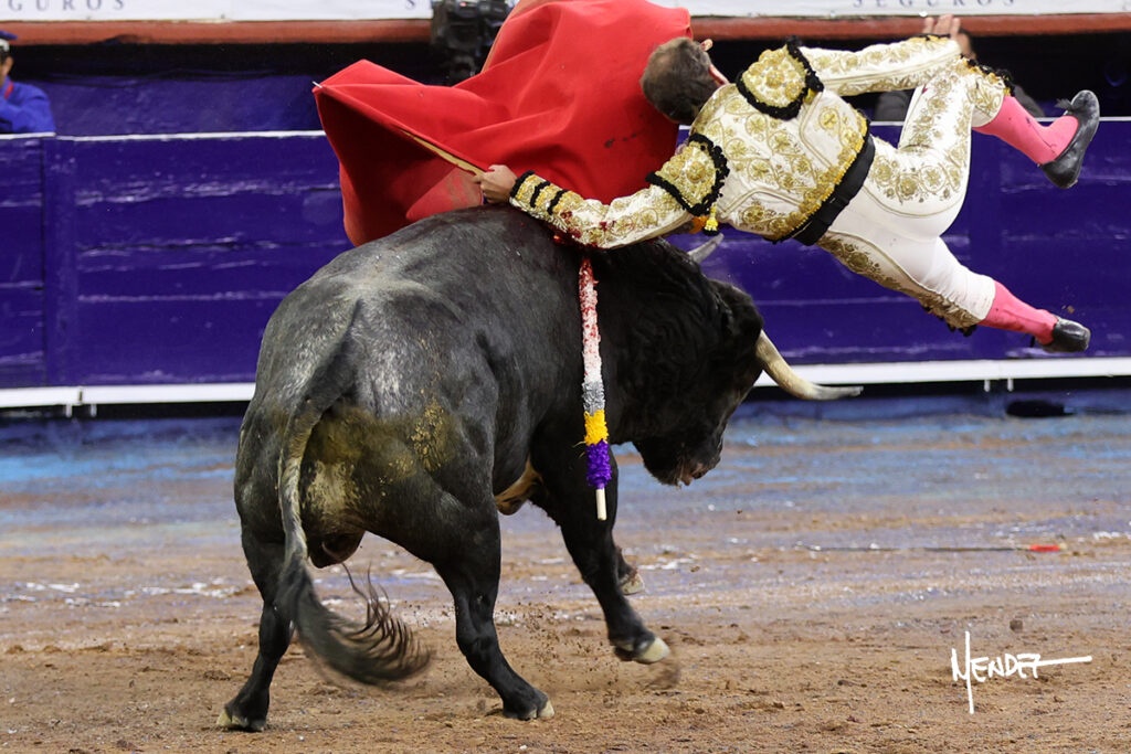 Faenas de Ferrera que da una vuelta, y de Valadez y Gamero sin colofón en la corrida del Municipio de Aguascalientes Ante poco más de media entrada en el coso Monumental, en tarde fresca y con algo de viento, se celebró este sábado 24 de octubre la ya tradicional Corrida del Municipio para festejar, ahora, el CDLI aniversario de la fundación de la ciudad de Aguascalientes y, festejo que dio comienzo a la III Temporada de Otoño 2026, resultando sin triunfador debido a la falta de colofón de las faenas hechas por el ibero Antonio Ferrera y el local Leo Valadez. El rejoneador de la capital de país, Emiliano Gamero, de igual manera no obtuvo premio por malograr a la hora buena su segunda faena.
