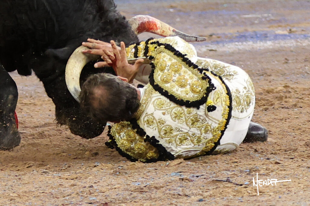 Faenas de Ferrera que da una vuelta, y de Valadez y Gamero sin colofón en la corrida del Municipio de Aguascalientes Ante poco más de media entrada en el coso Monumental, en tarde fresca y con algo de viento, se celebró este sábado 24 de octubre la ya tradicional Corrida del Municipio para festejar, ahora, el CDLI aniversario de la fundación de la ciudad de Aguascalientes y, festejo que dio comienzo a la III Temporada de Otoño 2026, resultando sin triunfador debido a la falta de colofón de las faenas hechas por el ibero Antonio Ferrera y el local Leo Valadez. El rejoneador de la capital de país, Emiliano Gamero, de igual manera no obtuvo premio por malograr a la hora buena su segunda faena.