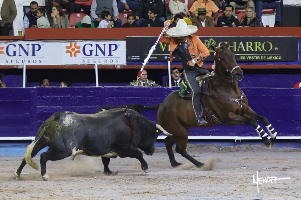 Faenas de Ferrera que da una vuelta, y de Valadez y Gamero sin colofón en la corrida del Municipio de Aguascalientes Ante poco más de media entrada en el coso Monumental, en tarde fresca y con algo de viento, se celebró este sábado 24 de octubre la ya tradicional Corrida del Municipio para festejar, ahora, el CDLI aniversario de la fundación de la ciudad de Aguascalientes y, festejo que dio comienzo a la III Temporada de Otoño 2026, resultando sin triunfador debido a la falta de colofón de las faenas hechas por el ibero Antonio Ferrera y el local Leo Valadez. El rejoneador de la capital de país, Emiliano Gamero, de igual manera no obtuvo premio por malograr a la hora buena su segunda faena.