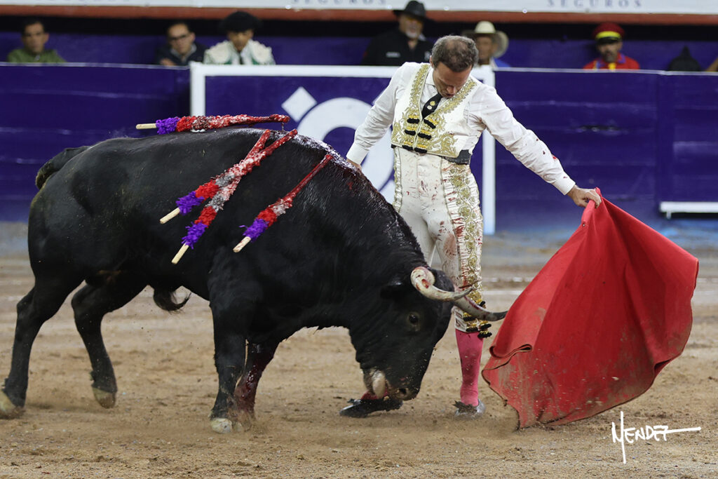 Faenas de Ferrera que da una vuelta, y de Valadez y Gamero sin colofón en la corrida del Municipio de Aguascalientes Ante poco más de media entrada en el coso Monumental, en tarde fresca y con algo de viento, se celebró este sábado 24 de octubre la ya tradicional Corrida del Municipio para festejar, ahora, el CDLI aniversario de la fundación de la ciudad de Aguascalientes y, festejo que dio comienzo a la III Temporada de Otoño 2026, resultando sin triunfador debido a la falta de colofón de las faenas hechas por el ibero Antonio Ferrera y el local Leo Valadez. El rejoneador de la capital de país, Emiliano Gamero, de igual manera no obtuvo premio por malograr a la hora buena su segunda faena.