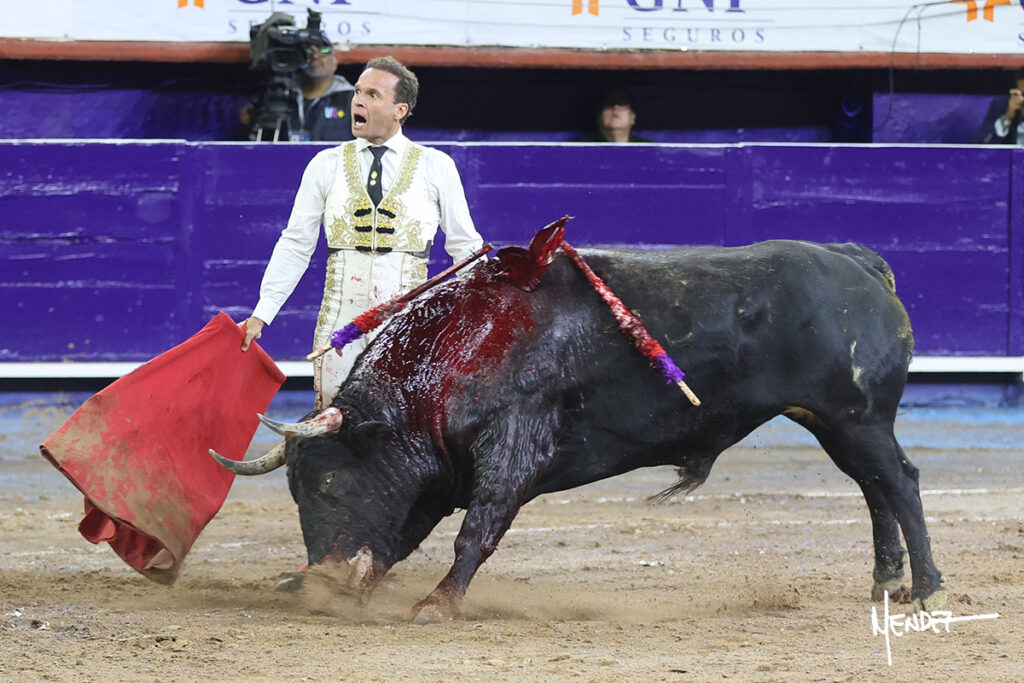 Faenas de Ferrera que da una vuelta, y de Valadez y Gamero sin colofón en la corrida del Municipio de Aguascalientes Ante poco más de media entrada en el coso Monumental, en tarde fresca y con algo de viento, se celebró este sábado 24 de octubre la ya tradicional Corrida del Municipio para festejar, ahora, el CDLI aniversario de la fundación de la ciudad de Aguascalientes y, festejo que dio comienzo a la III Temporada de Otoño 2026, resultando sin triunfador debido a la falta de colofón de las faenas hechas por el ibero Antonio Ferrera y el local Leo Valadez. El rejoneador de la capital de país, Emiliano Gamero, de igual manera no obtuvo premio por malograr a la hora buena su segunda faena.