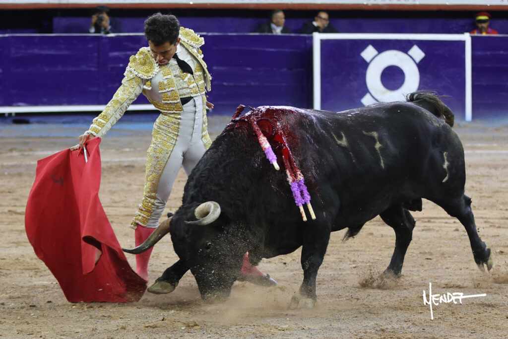 Faenas de Ferrera que da una vuelta, y de Valadez y Gamero sin colofón en la corrida del Municipio de Aguascalientes Ante poco más de media entrada en el coso Monumental, en tarde fresca y con algo de viento, se celebró este sábado 24 de octubre la ya tradicional Corrida del Municipio para festejar, ahora, el CDLI aniversario de la fundación de la ciudad de Aguascalientes y, festejo que dio comienzo a la III Temporada de Otoño 2026, resultando sin triunfador debido a la falta de colofón de las faenas hechas por el ibero Antonio Ferrera y el local Leo Valadez. El rejoneador de la capital de país, Emiliano Gamero, de igual manera no obtuvo premio por malograr a la hora buena su segunda faena.