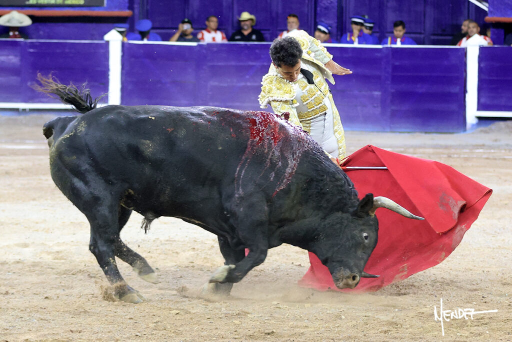 Faenas de Ferrera que da una vuelta, y de Valadez y Gamero sin colofón en la corrida del Municipio de Aguascalientes Ante poco más de media entrada en el coso Monumental, en tarde fresca y con algo de viento, se celebró este sábado 24 de octubre la ya tradicional Corrida del Municipio para festejar, ahora, el CDLI aniversario de la fundación de la ciudad de Aguascalientes y, festejo que dio comienzo a la III Temporada de Otoño 2026, resultando sin triunfador debido a la falta de colofón de las faenas hechas por el ibero Antonio Ferrera y el local Leo Valadez. El rejoneador de la capital de país, Emiliano Gamero, de igual manera no obtuvo premio por malograr a la hora buena su segunda faena.