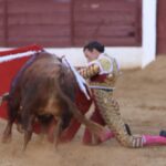 David de Miranda emborracha de torería a Zafra y sale a hombros tras indultar a Postinero Segunda de abono de la Feria Taurina de Zafra. Corrida de toros de Manuel Calejo Pires para Morante de la Puebla, Ginés Marín y David de Miranda.