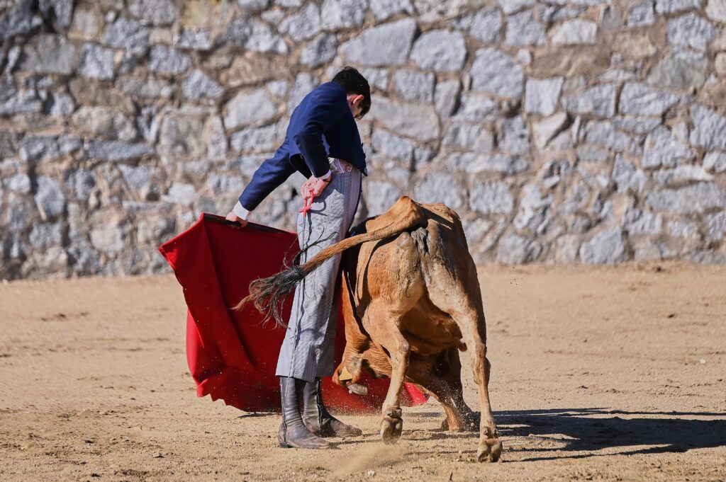 Martín Nieto, “El Escultor”, da el salto al apoderamiento para cincelar la carrera de Jorge Martínez Hay decisiones que maduran lentamente, como una escultura que va tomando forma entre las manos de su creador. Otras llegan cuando la experiencia, la ilusión y el convencimiento personal confluyen en un mismo propósito. Así nace la nueva aventura de Manuel Martín Nieto, “El Escultor”, reconocido artista de Morón de la Frontera (Sevilla), que da el paso al apoderamiento para acompañar la carrera de Jorge Martínez, matador de toros murciano afincado actualmente en Prado del Rey (Cádiz).
