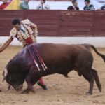 David de Miranda emborracha de torería a Zafra y sale a hombros tras indultar a Postinero Segunda de abono de la Feria Taurina de Zafra. Corrida de toros de Manuel Calejo Pires para Morante de la Puebla, Ginés Marín y David de Miranda.