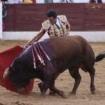 David de Miranda emborracha de torería a Zafra y sale a hombros tras indultar a Postinero Segunda de abono de la Feria Taurina de Zafra. Corrida de toros de Manuel Calejo Pires para Morante de la Puebla, Ginés Marín y David de Miranda.