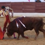David de Miranda emborracha de torería a Zafra y sale a hombros tras indultar a Postinero Segunda de abono de la Feria Taurina de Zafra. Corrida de toros de Manuel Calejo Pires para Morante de la Puebla, Ginés Marín y David de Miranda.
