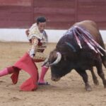 David de Miranda emborracha de torería a Zafra y sale a hombros tras indultar a Postinero Segunda de abono de la Feria Taurina de Zafra. Corrida de toros de Manuel Calejo Pires para Morante de la Puebla, Ginés Marín y David de Miranda.