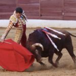 David de Miranda emborracha de torería a Zafra y sale a hombros tras indultar a Postinero Segunda de abono de la Feria Taurina de Zafra. Corrida de toros de Manuel Calejo Pires para Morante de la Puebla, Ginés Marín y David de Miranda.