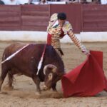 David de Miranda emborracha de torería a Zafra y sale a hombros tras indultar a Postinero Segunda de abono de la Feria Taurina de Zafra. Corrida de toros de Manuel Calejo Pires para Morante de la Puebla, Ginés Marín y David de Miranda.
