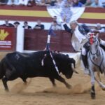 Zafra: Ventura desata la locura con un rabo en una tarde de rejones encastados Zafra abrió su abono con una corrida de rejones en la que el protagonismo terminó siendo para Diego Ventura, que volvió a demostrar por qué su nombre está ligado a las tardes grandes del rejoneo. Una actuación de enorme dimensión, coronada con el corte de los máximos trofeos en su segundo toro.