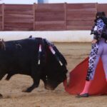 David de Miranda emborracha de torería a Zafra y sale a hombros tras indultar a Postinero Segunda de abono de la Feria Taurina de Zafra. Corrida de toros de Manuel Calejo Pires para Morante de la Puebla, Ginés Marín y David de Miranda.