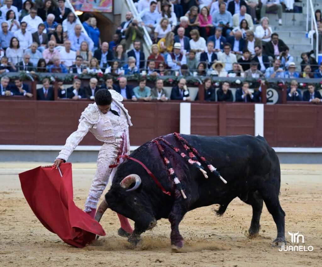 Morante y Aarón Palacio pierden la oreja con la espada en una corrida condicionada por el juego de los toros 9 Morante y Aarón Palacio pierden la oreja con la espada en una corrida condicionada por el juego de los toros Morante de la Puebla volvía a Madrid un año después del gran festival que montó en homenaje a Antoñete y de quitarse la coleta por la tarde. Tras su "no retirada" prefirió (con acierto) no venir a Madrid en San Isidro y esperar hasta Otoño, a sabiendas de que la decisión de hacer una temporada normal después esa teórica despedida le podría pasar factura. Y el 7 le esperó.