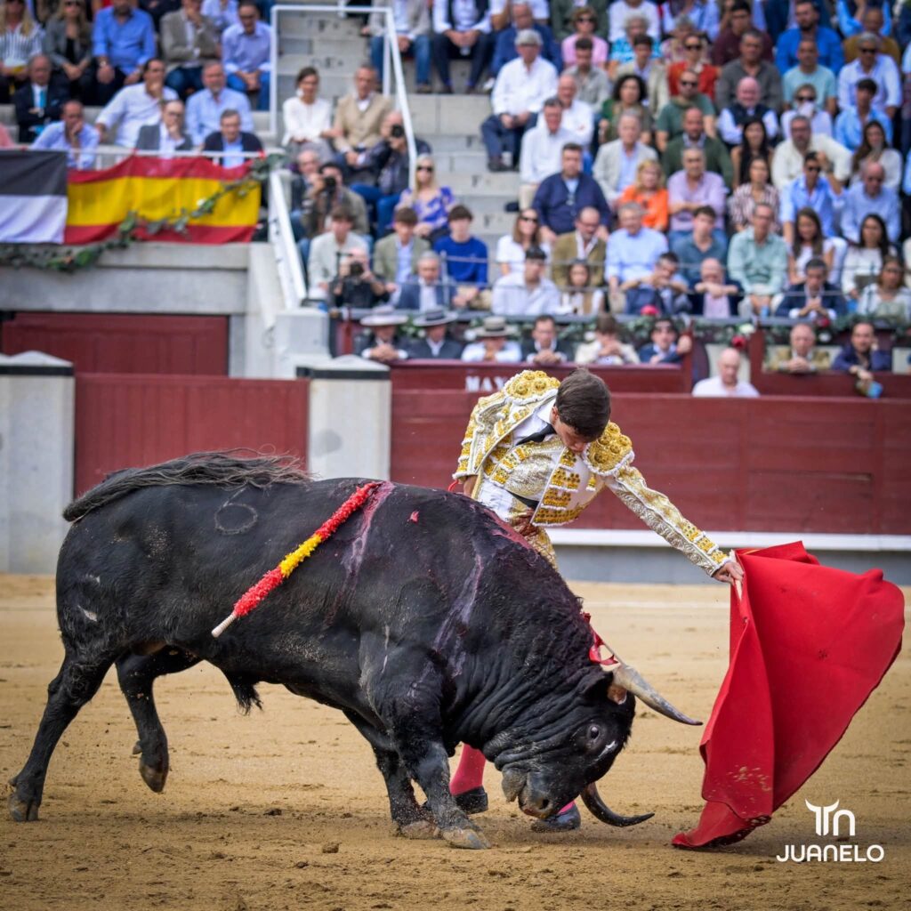 Morante y Aarón Palacio pierden la oreja con la espada en una corrida condicionada por el juego de los toros 8 Morante y Aarón Palacio pierden la oreja con la espada en una corrida condicionada por el juego de los toros Morante de la Puebla volvía a Madrid un año después del gran festival que montó en homenaje a Antoñete y de quitarse la coleta por la tarde. Tras su "no retirada" prefirió (con acierto) no venir a Madrid en San Isidro y esperar hasta Otoño, a sabiendas de que la decisión de hacer una temporada normal después esa teórica despedida le podría pasar factura. Y el 7 le esperó.