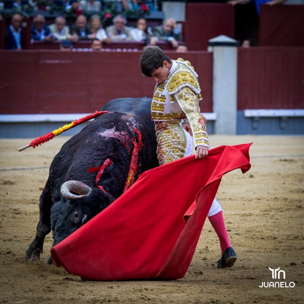 Morante y Aarón Palacio pierden la oreja con la espada en una corrida condicionada por el juego de los toros 7 Morante y Aarón Palacio pierden la oreja con la espada en una corrida condicionada por el juego de los toros Morante de la Puebla volvía a Madrid un año después del gran festival que montó en homenaje a Antoñete y de quitarse la coleta por la tarde. Tras su "no retirada" prefirió (con acierto) no venir a Madrid en San Isidro y esperar hasta Otoño, a sabiendas de que la decisión de hacer una temporada normal después esa teórica despedida le podría pasar factura. Y el 7 le esperó.