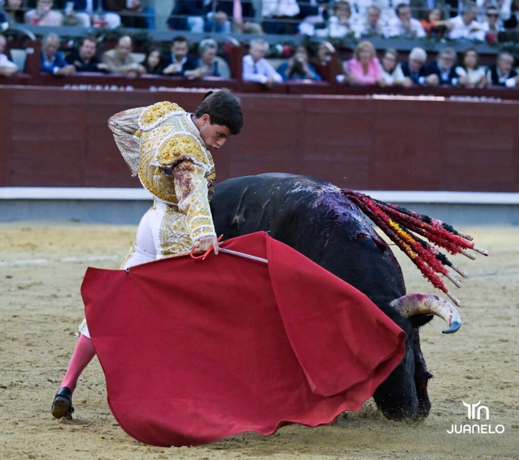Morante y Aarón Palacio pierden la oreja con la espada en una corrida condicionada por el juego de los toros 6 Morante y Aarón Palacio pierden la oreja con la espada en una corrida condicionada por el juego de los toros Morante de la Puebla volvía a Madrid un año después del gran festival que montó en homenaje a Antoñete y de quitarse la coleta por la tarde. Tras su "no retirada" prefirió (con acierto) no venir a Madrid en San Isidro y esperar hasta Otoño, a sabiendas de que la decisión de hacer una temporada normal después esa teórica despedida le podría pasar factura. Y el 7 le esperó.