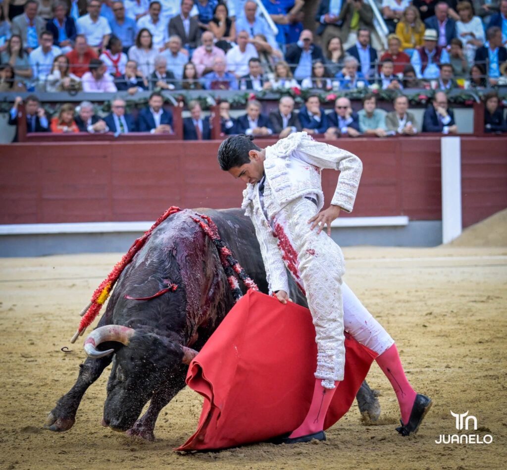 Morante y Aarón Palacio pierden la oreja con la espada en una corrida condicionada por el juego de los toros 3 Morante y Aarón Palacio pierden la oreja con la espada en una corrida condicionada por el juego de los toros Morante de la Puebla volvía a Madrid un año después del gran festival que montó en homenaje a Antoñete y de quitarse la coleta por la tarde. Tras su "no retirada" prefirió (con acierto) no venir a Madrid en San Isidro y esperar hasta Otoño, a sabiendas de que la decisión de hacer una temporada normal después esa teórica despedida le podría pasar factura. Y el 7 le esperó.