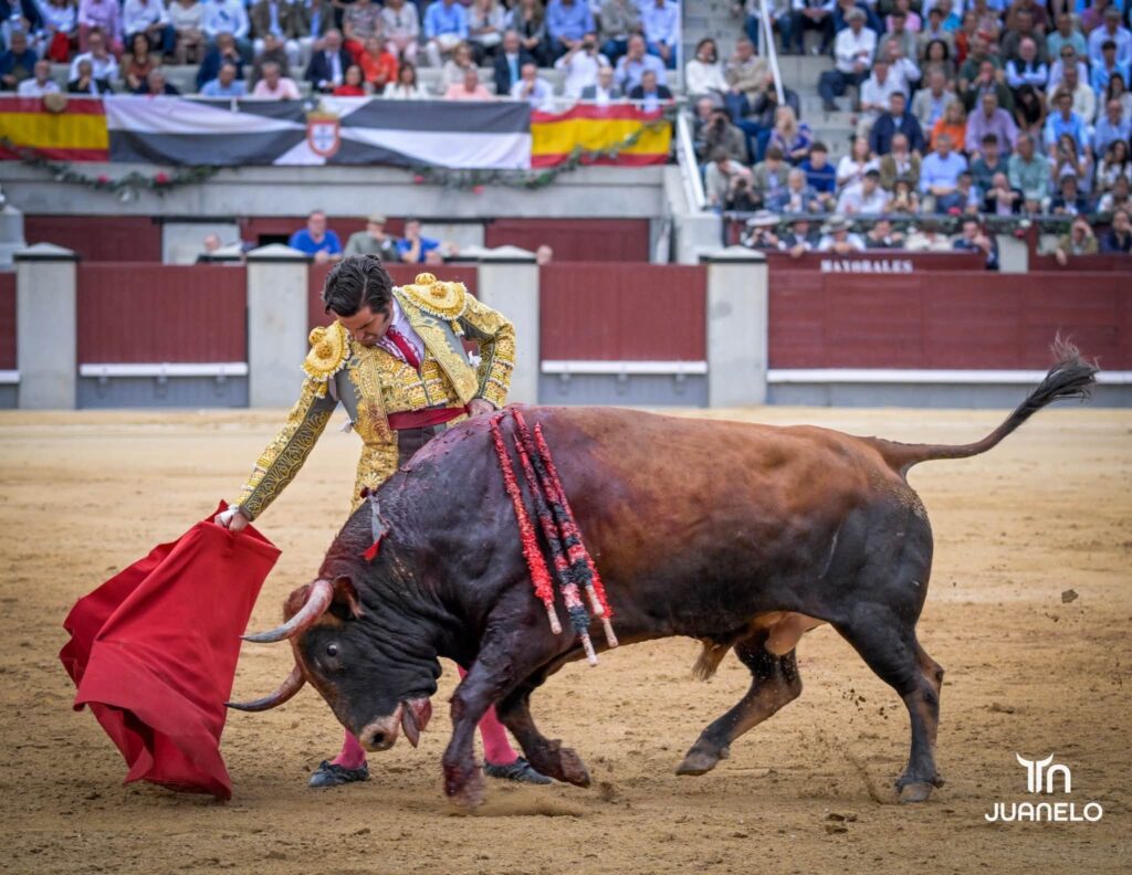 Morante y Aarón Palacio pierden la oreja con la espada en una corrida condicionada por el juego de los toros 2 Morante y Aarón Palacio pierden la oreja con la espada en una corrida condicionada por el juego de los toros Morante de la Puebla volvía a Madrid un año después del gran festival que montó en homenaje a Antoñete y de quitarse la coleta por la tarde. Tras su "no retirada" prefirió (con acierto) no venir a Madrid en San Isidro y esperar hasta Otoño, a sabiendas de que la decisión de hacer una temporada normal después esa teórica despedida le podría pasar factura. Y el 7 le esperó.