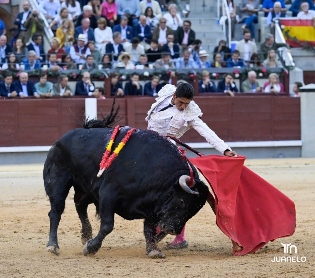 Morante y Aarón Palacio pierden la oreja con la espada en una corrida condicionada por el juego de los toros 1 Morante y Aarón Palacio pierden la oreja con la espada en una corrida condicionada por el juego de los toros Morante de la Puebla volvía a Madrid un año después del gran festival que montó en homenaje a Antoñete y de quitarse la coleta por la tarde. Tras su "no retirada" prefirió (con acierto) no venir a Madrid en San Isidro y esperar hasta Otoño, a sabiendas de que la decisión de hacer una temporada normal después esa teórica despedida le podría pasar factura. Y el 7 le esperó.