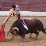 David de Miranda emborracha de torería a Zafra y sale a hombros tras indultar a Postinero Segunda de abono de la Feria Taurina de Zafra. Corrida de toros de Manuel Calejo Pires para Morante de la Puebla, Ginés Marín y David de Miranda.