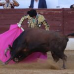 David de Miranda emborracha de torería a Zafra y sale a hombros tras indultar a Postinero Segunda de abono de la Feria Taurina de Zafra. Corrida de toros de Manuel Calejo Pires para Morante de la Puebla, Ginés Marín y David de Miranda.