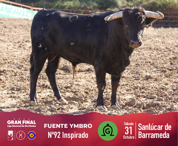 Los novillos de Fuente Ymbro para la Gran Final de Novilladas 2 Los novillos de Fuente Ymbro para la Gran Final de Novilladas La novillada reseñada es de Fuente Ymbro, quienes han lidiado en las dos últimas temporadas, habiendo dejado novillos importantes como el lidiado en 2025 por Mario Vilau, que cortó las dos orejas y rabo y el astado fue premiado con la vuelta al ruedo. La ilusión de Ricardo Gallardo en este último festejo de la temporada está en que la novillada sirva para el triunfo y culmine con una nota alta un año importante para la casa.