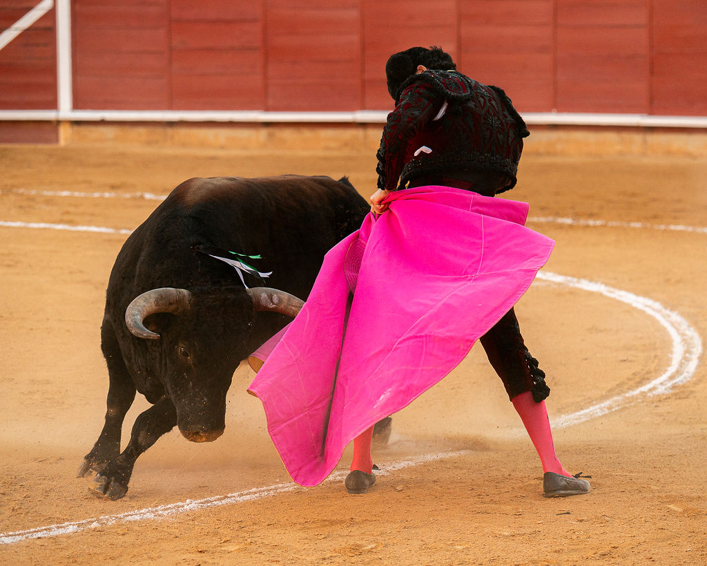 La tarde de la corrida mixta de Montoro tras el objetivo de Eugenia Godoy en la que destacó el triunfó de Manuel Quintana 4 La tarde de la corrida mixta de Montoro tras el objetivo de Eugenia Godoy en la que destacó el triunfó de Manuel Quintana El sevillano Oliva Soto demostró una vez más su torería y la personalidad que atesora ante dos oponentes totalmente a contraestilo. Con el primero del lote estuvo por momentos artista y con el segundo, un animal complicado y orientado, Alfonso hizo un esfuerzo por intentar meter en la muleta a un animal que no puso las cosas fáciles.
