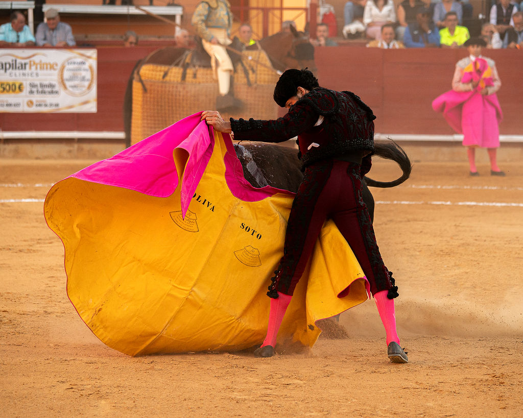 La tarde de la corrida mixta de Montoro tras el objetivo de Eugenia Godoy en la que destacó el triunfó de Manuel Quintana 5 La tarde de la corrida mixta de Montoro tras el objetivo de Eugenia Godoy en la que destacó el triunfó de Manuel Quintana El sevillano Oliva Soto demostró una vez más su torería y la personalidad que atesora ante dos oponentes totalmente a contraestilo. Con el primero del lote estuvo por momentos artista y con el segundo, un animal complicado y orientado, Alfonso hizo un esfuerzo por intentar meter en la muleta a un animal que no puso las cosas fáciles.