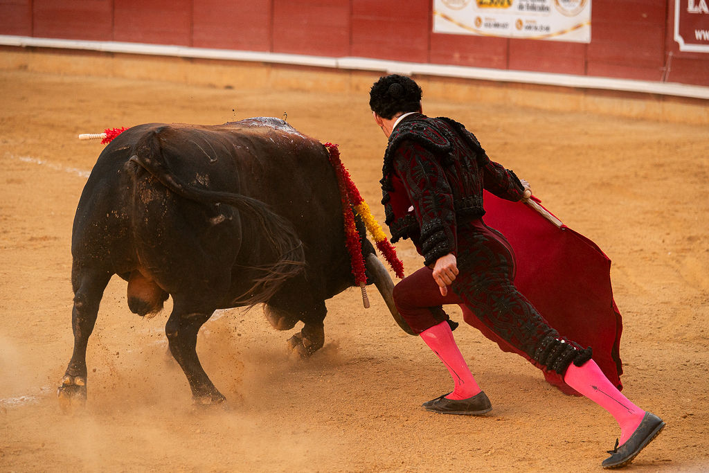 La tarde de la corrida mixta de Montoro tras el objetivo de Eugenia Godoy en la que destacó el triunfó de Manuel Quintana 6 La tarde de la corrida mixta de Montoro tras el objetivo de Eugenia Godoy en la que destacó el triunfó de Manuel Quintana El sevillano Oliva Soto demostró una vez más su torería y la personalidad que atesora ante dos oponentes totalmente a contraestilo. Con el primero del lote estuvo por momentos artista y con el segundo, un animal complicado y orientado, Alfonso hizo un esfuerzo por intentar meter en la muleta a un animal que no puso las cosas fáciles.