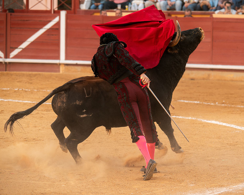 La tarde de la corrida mixta de Montoro tras el objetivo de Eugenia Godoy en la que destacó el triunfó de Manuel Quintana 7 La tarde de la corrida mixta de Montoro tras el objetivo de Eugenia Godoy en la que destacó el triunfó de Manuel Quintana El sevillano Oliva Soto demostró una vez más su torería y la personalidad que atesora ante dos oponentes totalmente a contraestilo. Con el primero del lote estuvo por momentos artista y con el segundo, un animal complicado y orientado, Alfonso hizo un esfuerzo por intentar meter en la muleta a un animal que no puso las cosas fáciles.