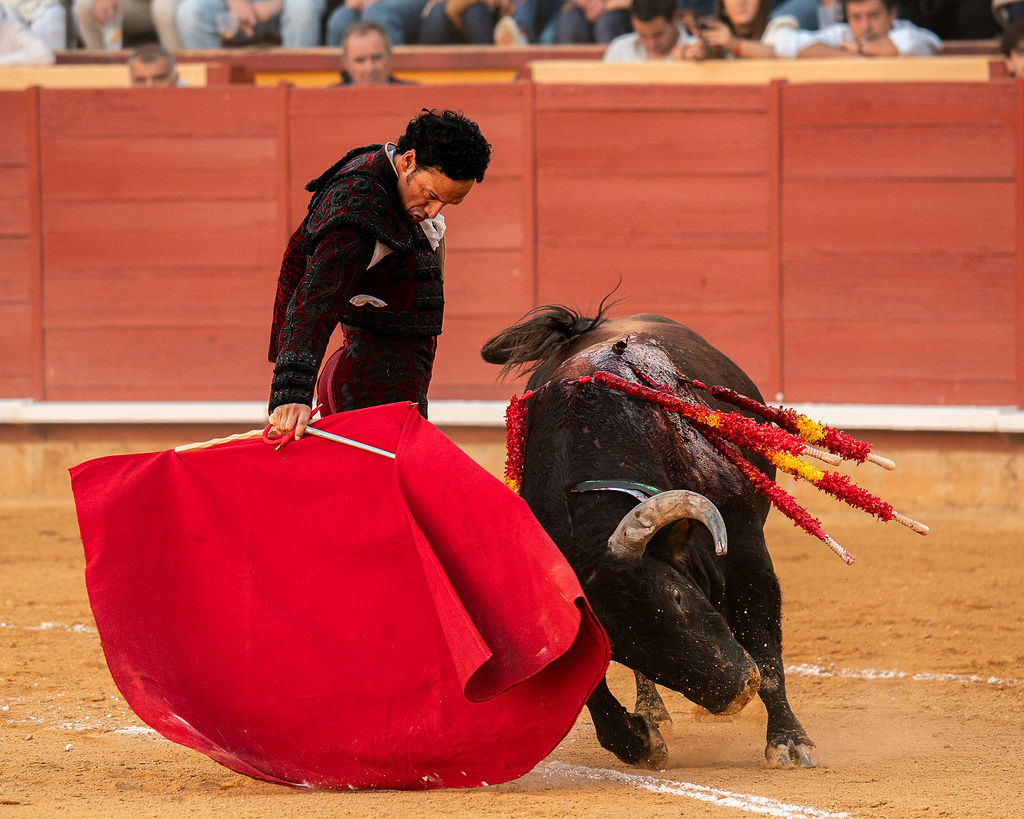 La tarde de la corrida mixta de Montoro tras el objetivo de Eugenia Godoy en la que destacó el triunfó de Manuel Quintana 8 La tarde de la corrida mixta de Montoro tras el objetivo de Eugenia Godoy en la que destacó el triunfó de Manuel Quintana El sevillano Oliva Soto demostró una vez más su torería y la personalidad que atesora ante dos oponentes totalmente a contraestilo. Con el primero del lote estuvo por momentos artista y con el segundo, un animal complicado y orientado, Alfonso hizo un esfuerzo por intentar meter en la muleta a un animal que no puso las cosas fáciles.
