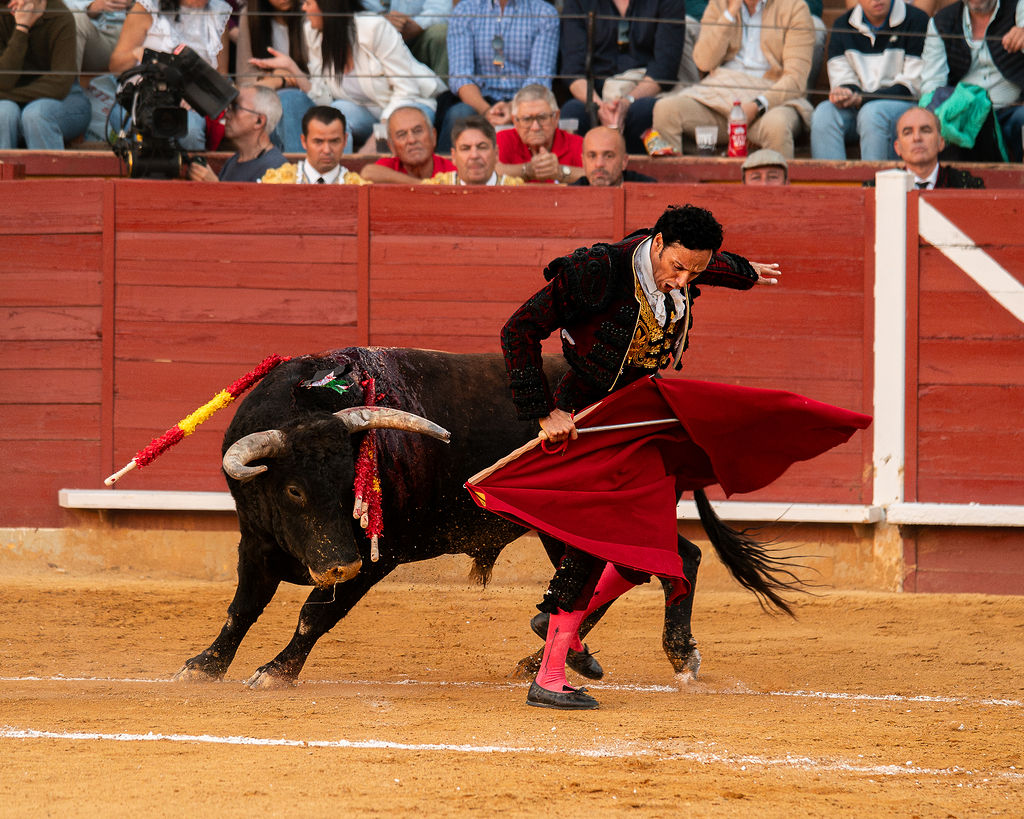 La tarde de la corrida mixta de Montoro tras el objetivo de Eugenia Godoy en la que destacó el triunfó de Manuel Quintana 9 La tarde de la corrida mixta de Montoro tras el objetivo de Eugenia Godoy en la que destacó el triunfó de Manuel Quintana El sevillano Oliva Soto demostró una vez más su torería y la personalidad que atesora ante dos oponentes totalmente a contraestilo. Con el primero del lote estuvo por momentos artista y con el segundo, un animal complicado y orientado, Alfonso hizo un esfuerzo por intentar meter en la muleta a un animal que no puso las cosas fáciles.