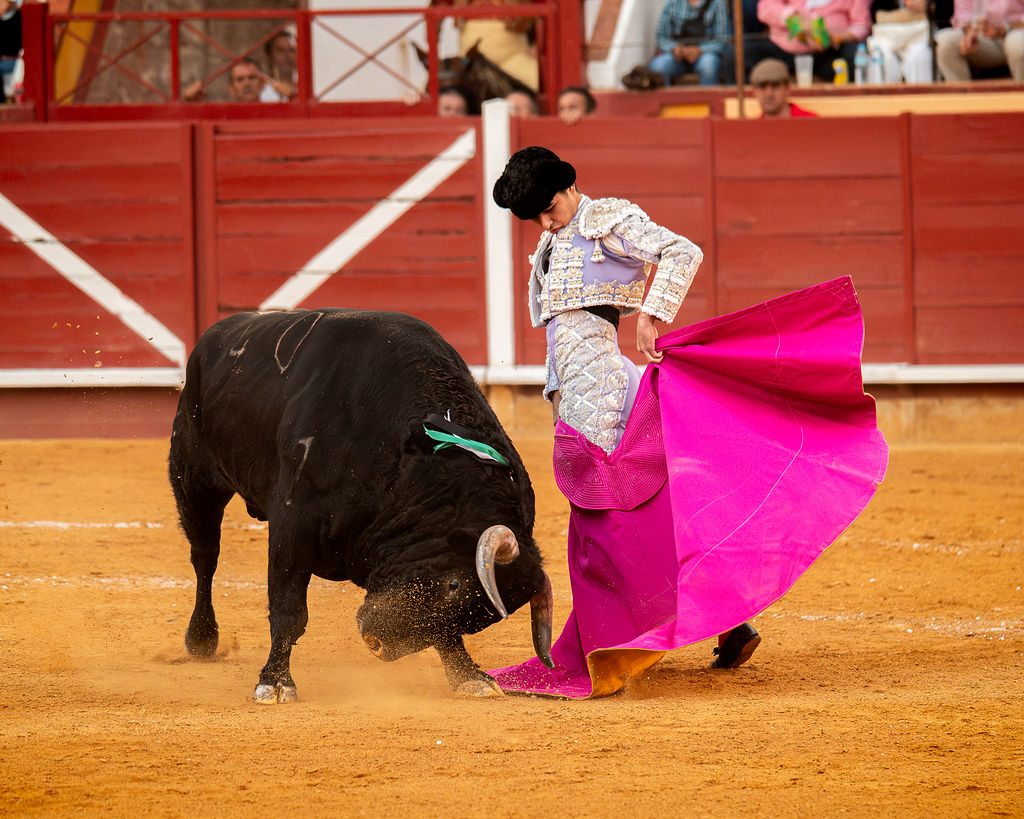 La tarde de la corrida mixta de Montoro tras el objetivo de Eugenia Godoy en la que destacó el triunfó de Manuel Quintana 11 La tarde de la corrida mixta de Montoro tras el objetivo de Eugenia Godoy en la que destacó el triunfó de Manuel Quintana El sevillano Oliva Soto demostró una vez más su torería y la personalidad que atesora ante dos oponentes totalmente a contraestilo. Con el primero del lote estuvo por momentos artista y con el segundo, un animal complicado y orientado, Alfonso hizo un esfuerzo por intentar meter en la muleta a un animal que no puso las cosas fáciles.