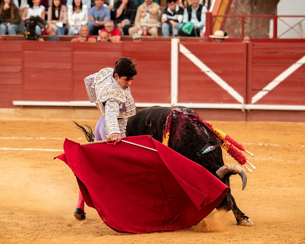 La tarde de la corrida mixta de Montoro tras el objetivo de Eugenia Godoy en la que destacó el triunfó de Manuel Quintana 13 La tarde de la corrida mixta de Montoro tras el objetivo de Eugenia Godoy en la que destacó el triunfó de Manuel Quintana El sevillano Oliva Soto demostró una vez más su torería y la personalidad que atesora ante dos oponentes totalmente a contraestilo. Con el primero del lote estuvo por momentos artista y con el segundo, un animal complicado y orientado, Alfonso hizo un esfuerzo por intentar meter en la muleta a un animal que no puso las cosas fáciles.
